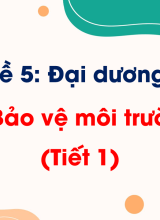 Bài 10 Bảo vệ môi trường biển (Tiết 1)